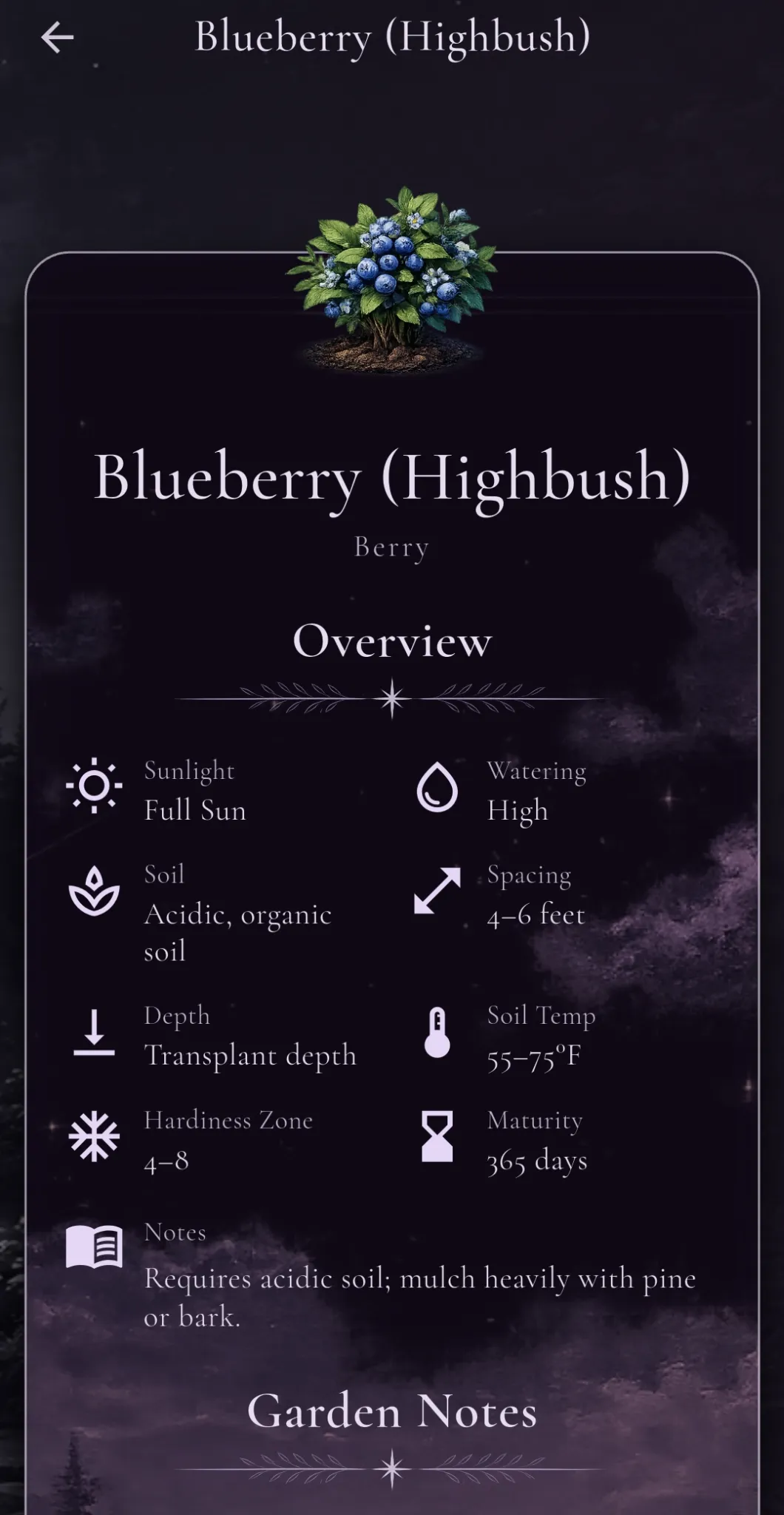 My Garden screenshot featuring Blueberry