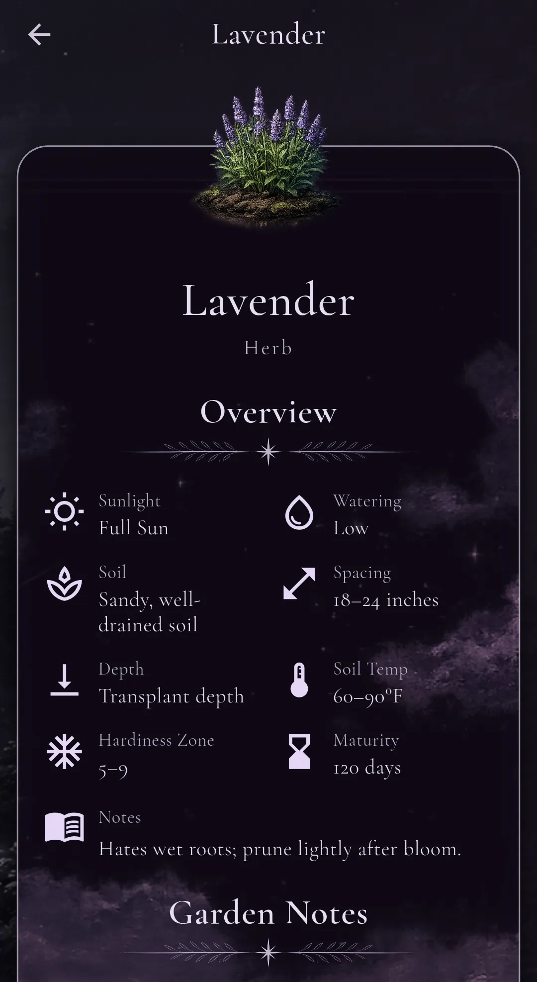 My Garden screenshot featuring Lavender